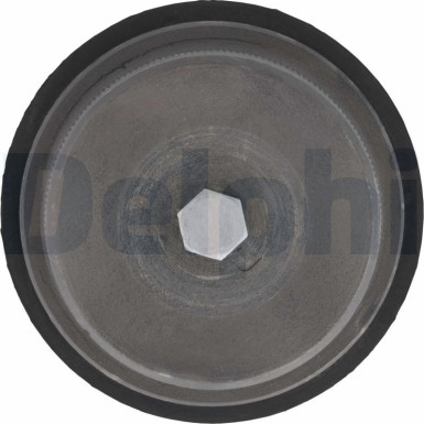 Delphi | Trag-/Führungsgelenk | TC2061