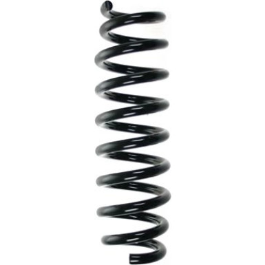 Spidan | Fahrwerksfeder | 56919