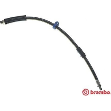 Brembo | Bremsschlauch | T 61 031