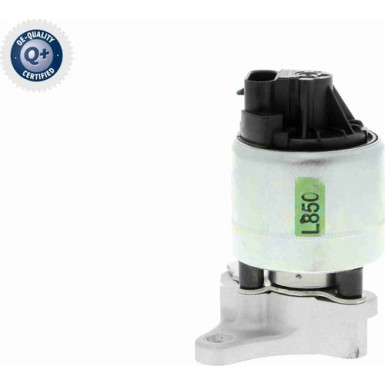 V51-63-0005 AGR-Ventil, Abgassteuerung Q+, Erstausrüsterqualität