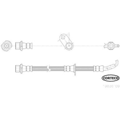 Corteco | Bremsschlauch | 19036109
