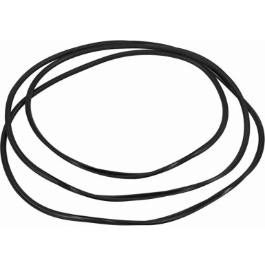 Vaico V10-3042 Dichtung, Frontscheibe Original VAICO Qualität