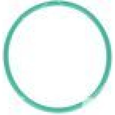 48730 AGR-Ventil EASY FIT