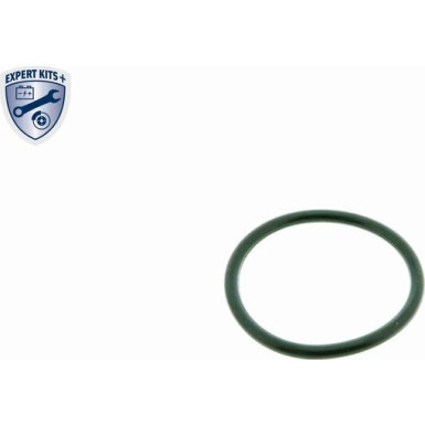 V15-99-2019 Thermostat, Kühlmittel EXPERT KITS +