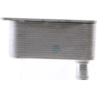 Mahle | Ölkühler, Motoröl | CLC 138 000S