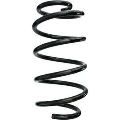 Spidan | Fahrwerksfeder | 87647