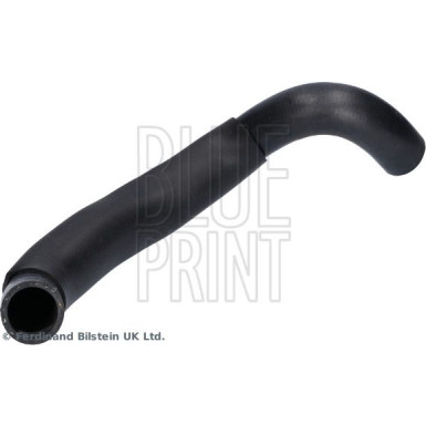 Blue Print | Kühlerschlauch | ADBP930008 Blue Print | Kühlerschlauch | ADBP930008