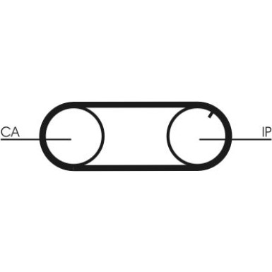CT641 Zahnriemen