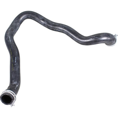 2422209 Kühlerschlauch