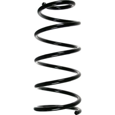 Spidan | Fahrwerksfeder | 55177