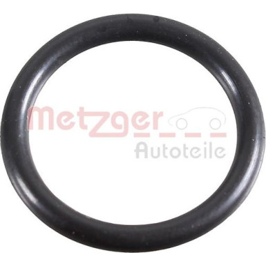 Metzger | Dichtring, Lader | 2430052