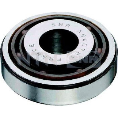 M255.06 Wälzlager, Federbeinstützlager