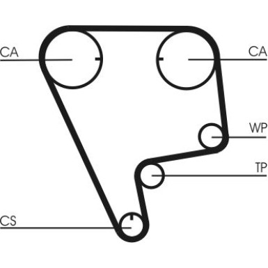CT773 Zahnriemen