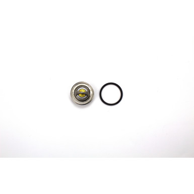 3017.92D2 Thermostat, Kühlmittel