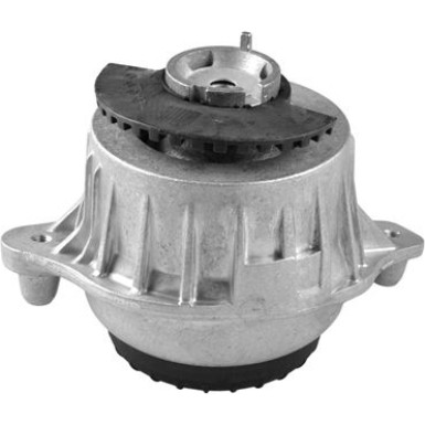 TED98110 Lagerung, Motor