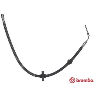 Brembo | Bremsschlauch | T 61 059