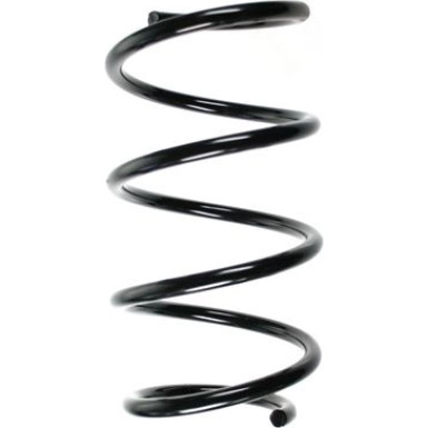 Spidan | Fahrwerksfeder | 56941