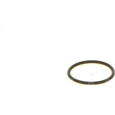 BOSCH | Dichtring | 1 410 257 029