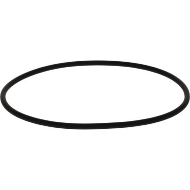 BOSCH | Dichtring | 2 410 210 050