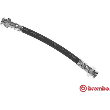 Brembo | Bremsschlauch | T 23 182
