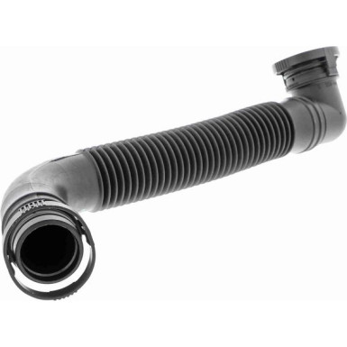 Vaico | Schlauch, Luftversorgung | V10-2527