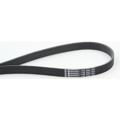 ContiTech | Keilrippenriemen | 7PK2061