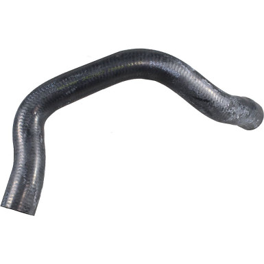 2421667 Kühlerschlauch 2421667 Kühlerschlauch