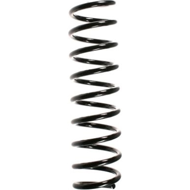Spidan | Fahrwerksfeder | 49756