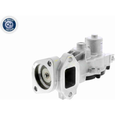 Vemo | AGR-Ventil | V40-63-0044