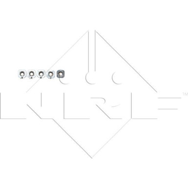 53894 Kühler, Motorkühlung EASY FIT