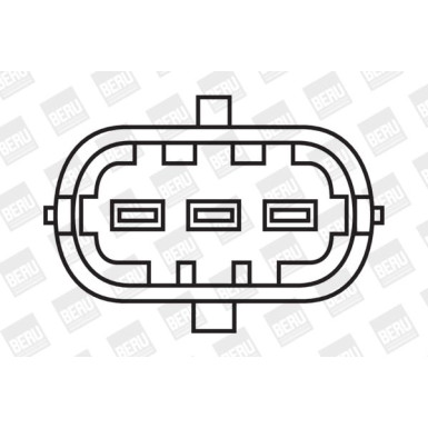 BorgWarner (BERU) | Zündspule | ZS311