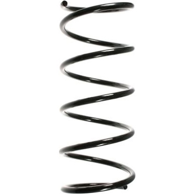Spidan | Fahrwerksfeder | 55159