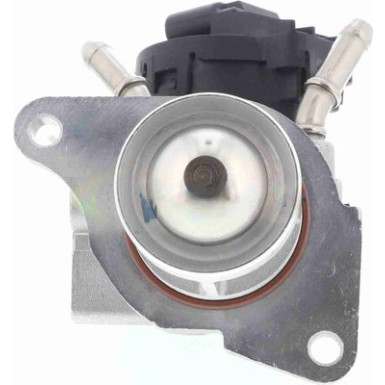 V20-63-0012 AGR-Ventil, Abgassteuerung Original VEMO Qualität