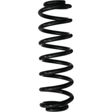 Spidan | Fahrwerksfeder | 87996