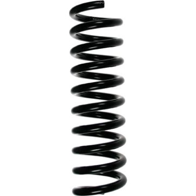 Spidan | Fahrwerksfeder | 55736