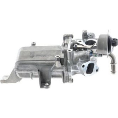 CE 36 000P Kühler, Abgasrückführung BEHR *** PREMIUM LINE ***