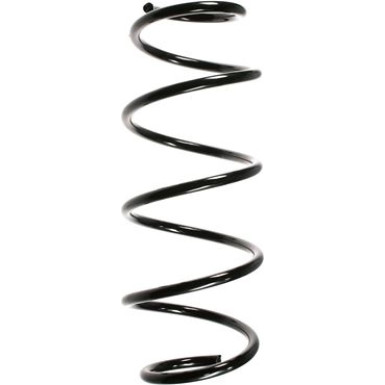 Spidan | Fahrwerksfeder | 55251