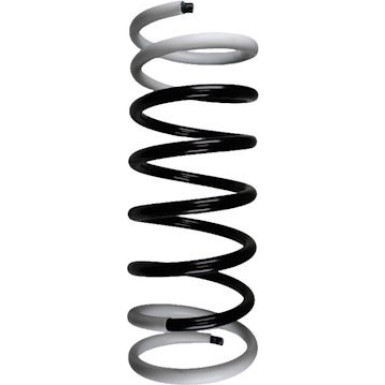 Spidan | Fahrwerksfeder | 49418