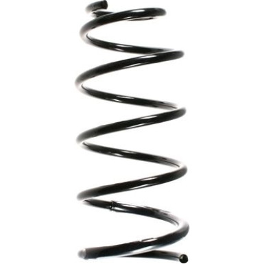 Spidan | Fahrwerksfeder | 55916