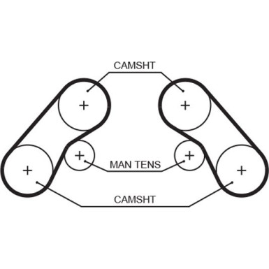 Gates | Zahnriemen | 5576XS