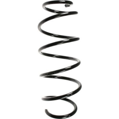 Spidan | Fahrwerksfeder | 49629