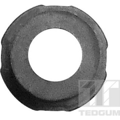 Tedgum | Lagerung, Blattfeder | 00284896
