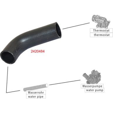Metzger | Kühlerschlauch | 2420484
