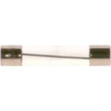 BOSCH | Sicherung | 1 987 529 902