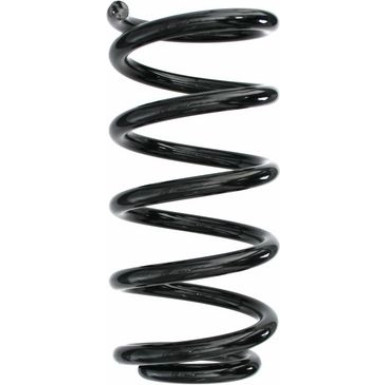 Spidan | Fahrwerksfeder | 87212