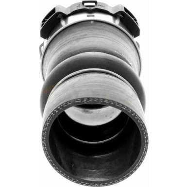 Vaico | Ladeluftschlauch | V46-0833 Vaico | Ladeluftschlauch | V46-0833