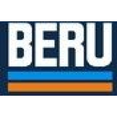 BorgWarner (BERU) | Zündkerze | Z193