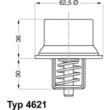 Wahler | Thermostat, Kühlmittel | 4621.80D