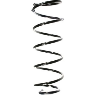 Spidan | Fahrwerksfeder | 48544