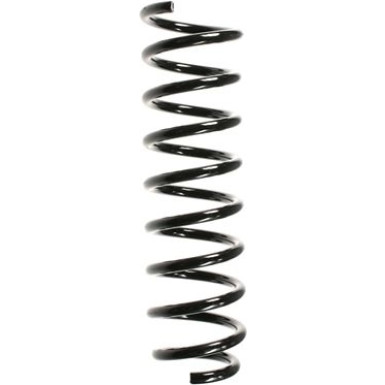 Spidan | Fahrwerksfeder | 49545